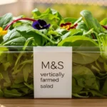 M&S Vertically Farmed Salad: A Fresh Step Towards Sustainable Eating